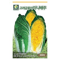 갑조네 잎줄기채소 씨앗 모음, 고려금동이미니배추(씨앗), 1개