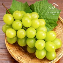 웰굿 [웰굿]경북 프리미엄 샤인머스켓 선물세트 2kg(3-4수), 1