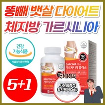 NWC 체지방 가르시니아 HCA 750 여름철 단기 간 다이어트 복부 허벅지 체지방 내장지방 감소 급찐 급빠 효과좋은 가성비 가루시니아 남성 여성 뱃살 줄이는 빼는 빼기 약 X, 6개, [5+1] 가르시니아플러스 (2개월분)