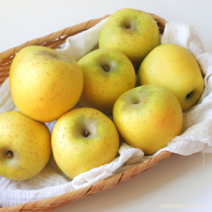 [파머프레쉬]정품 황금사과 시나노골드 꿀사과, 정품/ 대과 / 10kg내외 / 38과 내외, 1개
