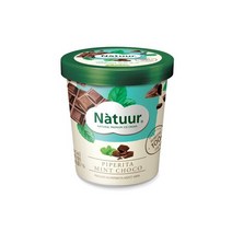 롯데제과 [발렌타인데이] [롯데제과][나뚜루] 피페리타민트초코 파인트 474ml, 단일/상품