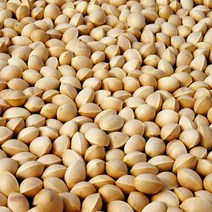 국산 은행 탱글탱글 피은행 1kg, 피은행 대 1kg