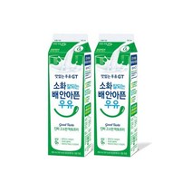 남양유업 남양우유 밀크 맛있는우유 GT 소화 잘되는 배 안아픈 우유 부모님 어른 아이 간식 900ml 2개 1세트