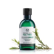 [더바디샵]티트리 스킨 클리어링 바디워시 250ML, 1개