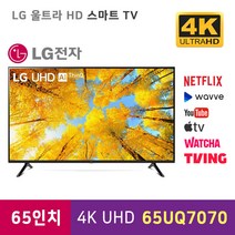 LG 22년 65인치 UHD 스마트 TV 유튜브 넷플릭스 웨이브 미러링, 매장방문수령, 벽걸이형