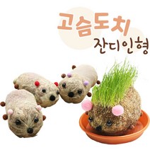 고슴도치잔디인형 DIY 체험학습재료 토피어리만들기 수태로만들기 망인형, 노랑엄빠도치재료, 1개