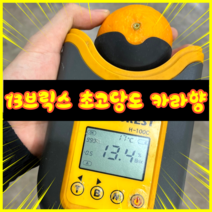 제주 카라향 상품 선물용 13브릭스이상 산지직송 감귤, 3kg, 1개