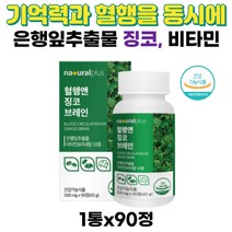 기억력개선 혈행 건강 징코 브레인 은행잎추출물 플라보노이드 하루1정으로 소중한 기억력 혈행개선 자주 깜빡깜빡 중장년층 노화 주부층 활력충전 비타민 미네랄 10종 홈쇼핑 추천