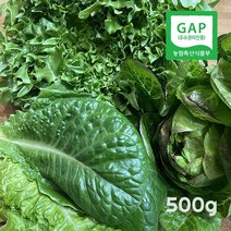 친환경 GAP 유럽샐러드 모듬쌈 모듬채소(그린스팜) 500g, 모듬샐러드 2Kg, 1개