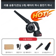 가정용 먼지 제거기 블로어 다기능 고출력 리튬 송풍기 충전식 소형 차량용 먼지 제거기 전기집진기, 헤어 드라이어*2, 유럽 규칙, 1개