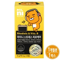비타민B 활성 비타민 B12 B2 B6 비군 비오틴 나이아신 홍경천추출물 스트레스 케어비, 1통, 스트레스케어비(60정)