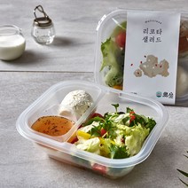 홀리셔스 한 끼 샐러드 리코타치즈 5팩, 1개