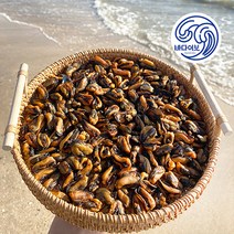 바다어보 국산 햇 건홍합 / 홍합조림 마른홍합 말린홍합, 1팩, 500g