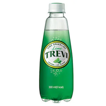 롯데칠성음료 트레비 라임 펫, 53개, 300ml