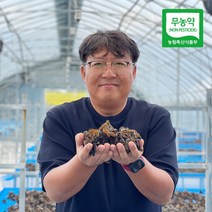 [생산자직송] 강진 양승규님의 무농약 생 목이버섯 500g, 단품