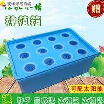 가정용 식물재배기 수경재배기 식물 재배기 실내화분 무토재배 수조기 설비 수경채소 베란다식물 재배, 블루솔라 산소증식용수배관, 중간 정도