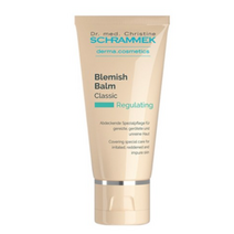 슈라멕 블레미쉬밤 비비크림 40ml, 라이트, 4개