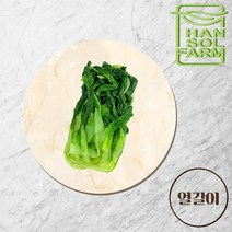 국산 데친(삶은)얼갈이 500g 1kg 얼갈이무침 얼갈이배추 나물용 반찬용 무침용