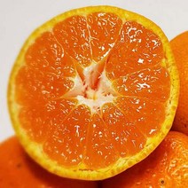 제주 서귀포 귤 노지 감귤 5kg 10kg, 귤 10kg 꼬마(2S)