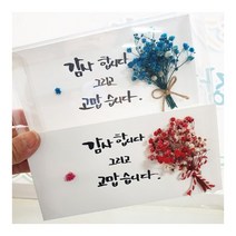 지나로즈 부모님용돈선물 명절돈봉투 opp 용돈비닐 머니홀더 돈비닐, 캘리그라피 용돈봉투