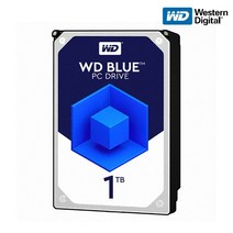 웨스턴디지탈 WD 1TB BLUE WD10EZEX (SATA3/7200/64M), 1