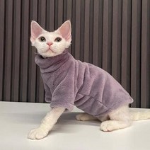 고양이 봄옷 강아지봄옷 아기고양이 중형견 여름 스핑크스고양이 애견의류 애견 특이한 티셔츠 소형견 스핑크스 따뜻한 후드에 대한 겨울 옷 애완 동물 두꺼운 코트 새끼 의상 자켓 치와, Purple+XS