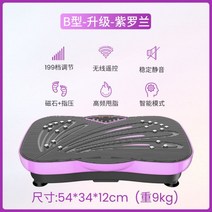 운동기구 덜덜이 가정용 피트니스 쉐이크보드 마사지 전신운동 바디슬리머 다이어트, B타입/업그레이드/바이올렛/199레벨