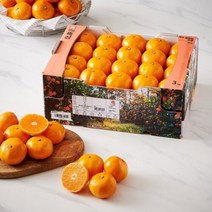 충주GAP상생사과(2.5KG/봉), 제주올레길감귤(3KG/박스)
