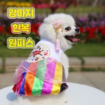 명절룩 강아지 한복 원피스 설날준비 새해준비 추석준비, 색동나라