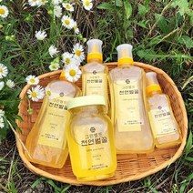 말뚝 천연 아카시아꿀 100% 자연산 국산 토종꿀 꿀선물세트 꿀답례품, 1개, 1.2kg