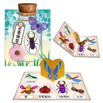 곤충채집 책만들기 DIY만들기키트