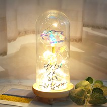 발트728 문구제작 LED 유리돔 글라스돔 홀로그램 황금장미 선물 무드등, 큰아이/홀로그램장미/별도문구제작(폰트3)