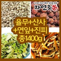 자연초 기혈차 총1400g 율무800g+진피200g+연잎200g+산사200g, 1400g, 1개