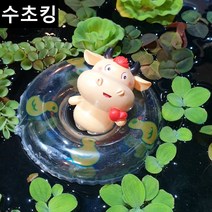 [수초킹] 부상수초 + 튜브세트 / 수초 구피 구피수초 어항 목련물배추 피시티아 미니물배추 살비니아 나탄스 쿠쿠라타 긴코 만강홍 부레옥잠, 튜브포함, 2종 10촉