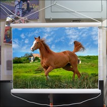C491-0/말사진/족자/풍경화/인테리어소품/말그림