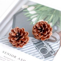 인조잔디 시공 테라스인조잔디 인조잔디매트양초 DIY 재료 계피 롤 말린 꽃 향기 홈 장식 웨딩 솔방울 고, 01 3 CM 2 pieces