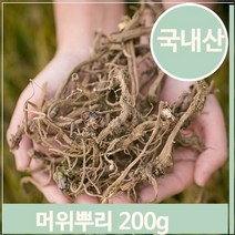 셀러허브 식품 담금주 약주 머위 200g 뿌리 영양 약초 쌉싸름 건강, 기본