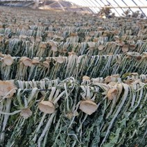 국내산 유기농 건무청 말린시래기 500g 핫굿, 상세페이지 참조, 상세페이지 참조