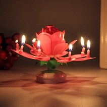 라이프공방 촛불멜로디연꽃초 생일축하 멜로디생일초, 14촛불, 원형판옐로우