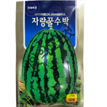 꿀수박씨앗 50립 여름노지수박종자 미래