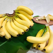 친환경 마음밭 국내산 초록바나나 후숙바나나 1.5kg 2.5kg 10kg 무농약 및 유기농, 후숙바나나 10kg