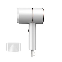헤어 드라이어 드라이기 음이온 강력 전기 헤어 드라이어 따뜻한 냉온풍 송풍기 미니 가전 제품 블루라이, 02 White_02 EU, White