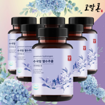 고말론 수국잎 추출물 열수추출 프리미엄 정 1000mg 60정, 6개 (12개월분)
