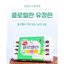 클로렐라 유정란 (난각2번) 30구