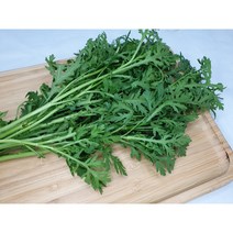 신선따옴 쑥갓, 1kg