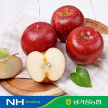 [남거창농협]아삭아삭 달콤 꿀 사과5kg중대과 17-20과내외, 없음