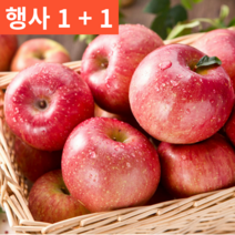 (행사 5kg 2박스) 1+1 경북 청송 영천 프리미엄 명품 특등품 선물용 햇 사과 부사 10키로, 가정용 5kg 중(14-18과내외)-2박스