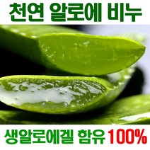 [오후5시 당일발송] 고농축 생 알로에천연비누 촉촉촉 보습진정 에너지 세수비누 비누 알로에 아이보리 세안비누 천연 얼굴 YB맘, 100g, 1개