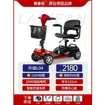 노인전동차 전동카 어르신 소형전기차, 24V, 12Ah 납산 40마일250W