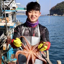청정해역 남해 100% 선주 직송 최고급 돌문어 100% 환불 가능, 자숙 문어 1kg-1.2kg